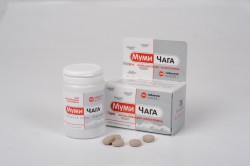 БАД Мумичага 100 шт. табл. 0.55 г